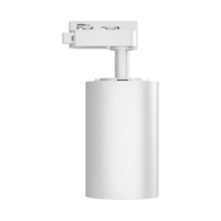 LED SINSKI REFLEKTOR 30W BELI 3CCT MONOFAZNI BD40-00680